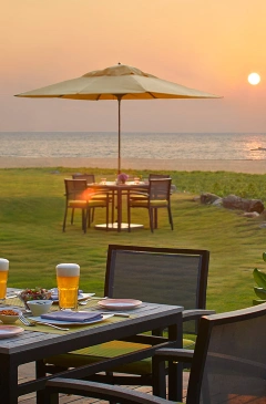 Negambo
  Discover populer items
  Read more