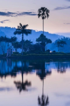 Kandy
  Discover populer items
  Read more