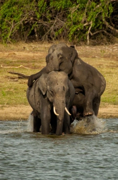 Yala
  Discover populer items
  Read more